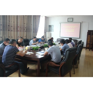 集团公司机关党支部开展“两学一做”学习教育第三次专题学习讨论