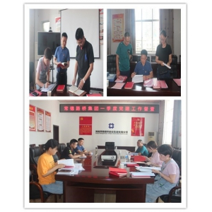 集团公司开展一季度党建工作督查